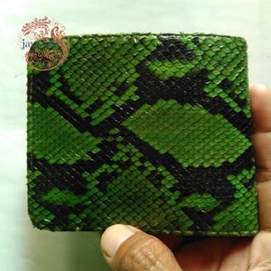 May include: A green and black snakeskin wallet. The wallet is square and has a textured surface. The snakeskin pattern is a mix of dark green and black. The wallet is held in a person's hand.