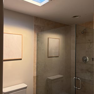 May include: A modern bathroom with a glass shower, a white toilet, and a framed artwork. The shower has a silver faucet and handle. A skylight is in the ceiling, providing natural light. The walls are a neutral color.
