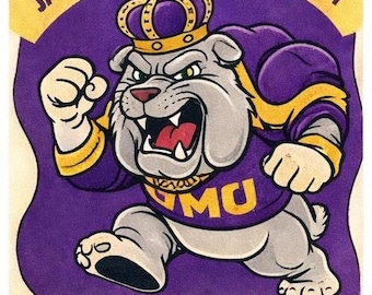 James Madison Dukes NCAA Football Metal Sign Poster 12x8in Wall Decor