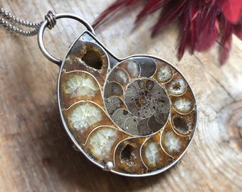 May include: A silver pendant necklace featuring a fossilized ammonite with a spiral pattern in shades of brown, white, and gray. The ammonite is set in a silver frame and hangs from a silver chain.