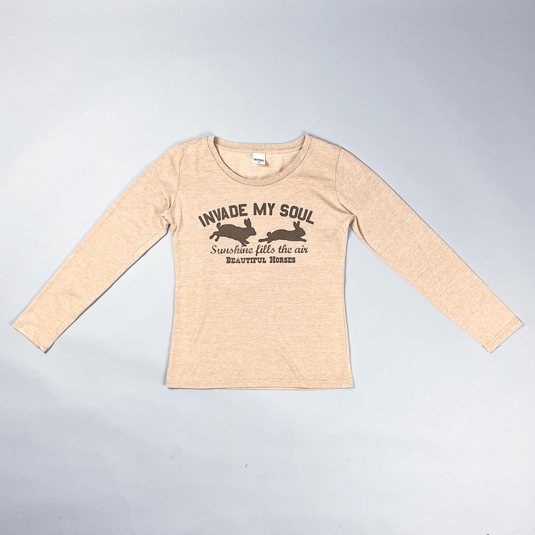 Vintage Graphic T-Shirt | Y2K Engrish Saying Cute Bunny Graphic Long Sleeve Brown T-Shirt by Graniph | Size Small