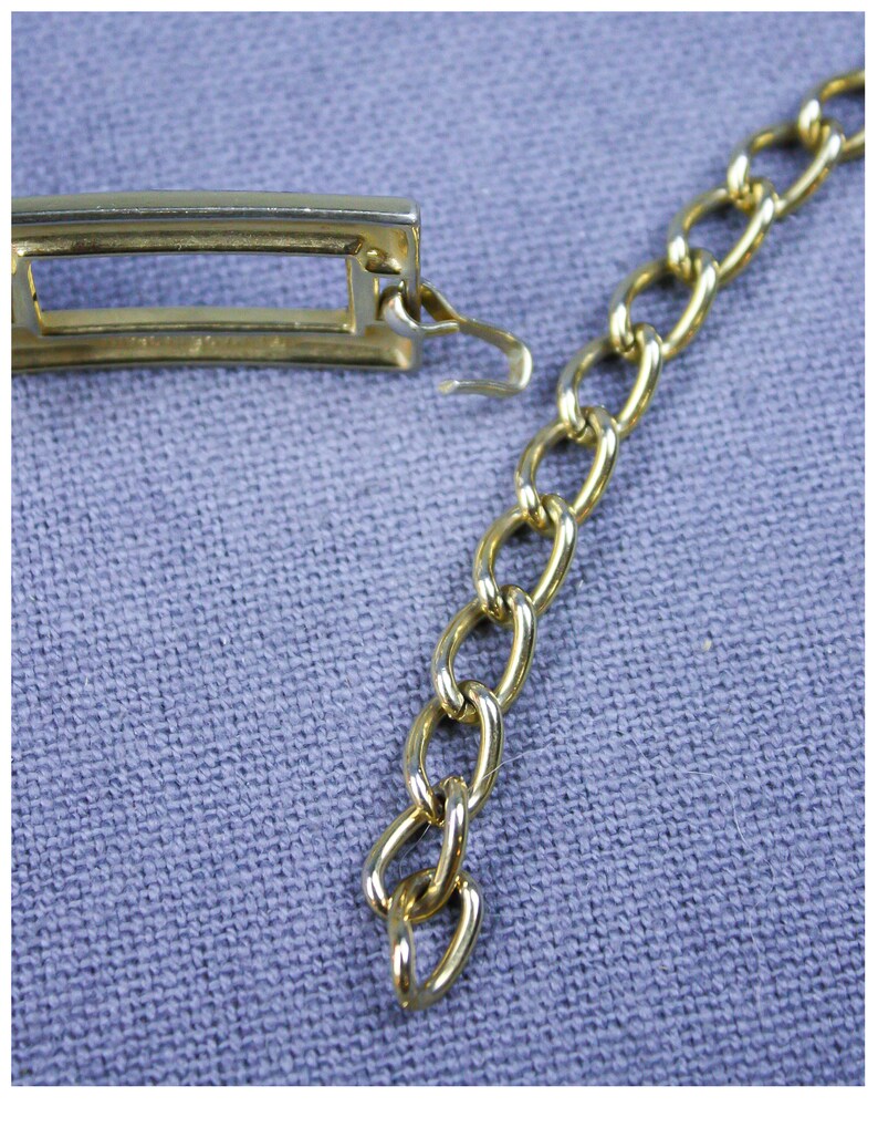 Gold /& Tortoise Shell Chain Belt