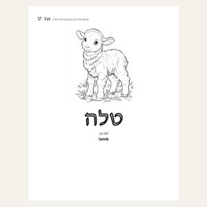 Hebrew Alef-Bet Coloring & Tracing Book + 4 Bonus Jewish Printables | Rosh Hashanah, Sukkot, Shabbat | Aleph Bet Kids | 5 Files image 3