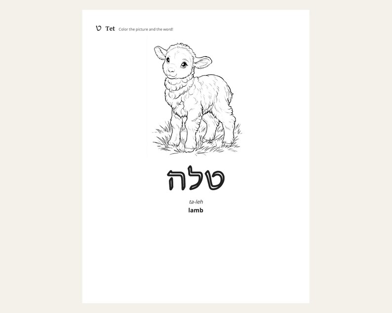Hebrew Alef-Bet Coloring & Tracing Book + 4 Bonus Jewish Printables | Rosh Hashanah, Sukkot, Shabbat | Aleph Bet Kids | 5 Files image 3