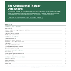 Occupational Therapy Data Sheets, OT Session Log and Caseload Printable, 20 Page Type-In PDF, Fine Motor and Sensory Tracking Forms