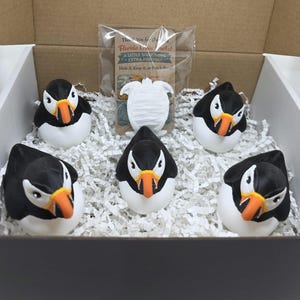 May include: A cardboard box containing four black and white puffin figurines with orange beaks, nestled in white paper shred. A small clear plastic bag holds a white turtle figurine and a card with the text Florida Cruise Ducks A Little Something Extra For You.