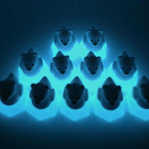 May include: A collection of ten small, white bear-shaped figurines arranged in a pyramid formation. Each bear sits atop a hexagonal base that emits a bright, glowing cyan light, creating a luminous effect against the dark background.