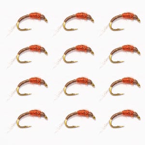 May include: A collection of twelve fishing flies. Each fly features a curved gold hook, a brown body, and a vibrant orange head. Fine, white fibers extend from the rear of each fly. The flies are arranged against a plain white background.