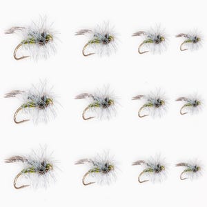 Könnte beinhalten: Eine Sammlung von Fliegenfischerködern. Jeder Köder hat einen goldenen Haken, einen grünen Körper und weiße, federartige Flügel. Die Köder sind in Reihen auf weißem Hintergrund angeordnet, um ihr Design und ihre Konstruktion für Angler hervorzuheben.