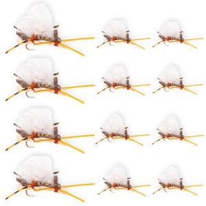 Chubby Chernobyl Dry Flies: Hand-Tied Trout Attractor Pattern (12 Pack, Size 10/12)