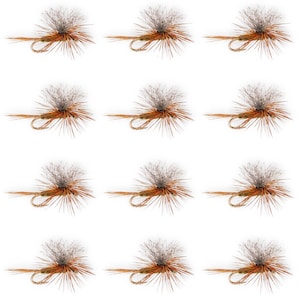 May include: Twelve artificial fishing flies. Each fly has a hook, a brown body, and a gray and orange feathery design. The flies are arranged in a grid pattern against a white background.