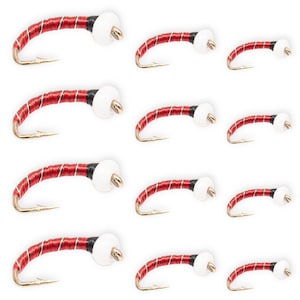 May include: A collection of fly fishing lures. Each lure features a red body with silver thread, a black band, and a white head. The hooks are gold-colored. The lures are arranged on a white background.