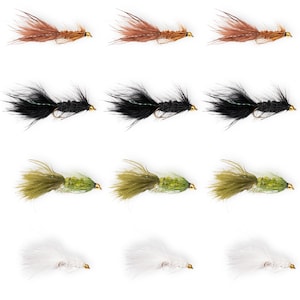 May include: A selection of twelve fishing flies in a grid formation. The flies are in shades of brown, black, olive green, and white. Each fly is attached to a gold-coloured hook. The flies are designed for angling.