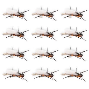 Mosche secche per plecotteri legate a mano, confezione da 12: modello attrattivo per trote, misure 8, 10