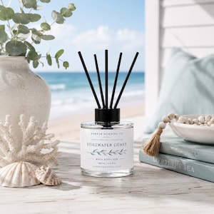 Op de afbeelding: Een doorzichtige glazen rietdiffuser met een zwarte dop en vijf zwarte rietjes. Het etiket vermeldt Harbor Morning Co. Stillwater Coast Reed Diffuser 100 ml / 3.4 fl oz. De diffuser staat naast een witte vaas, een stuk koraal en een zeeschelp.