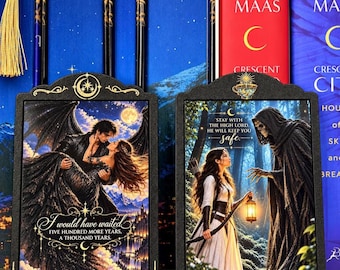 ACOTAR-inspirerad bokdisplay, Bat Boys Wingspan Matters, fantasy-boksdekor, romantisk bokhyllepresent | Rhysand och Feyre | Prythian