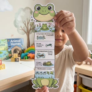 May include: A colorful frog life cycle educational chart. The chart shows the stages of a frog's life, from eggs to tadpole to froglet. The chart is held by a person in front of a table with books and toys.