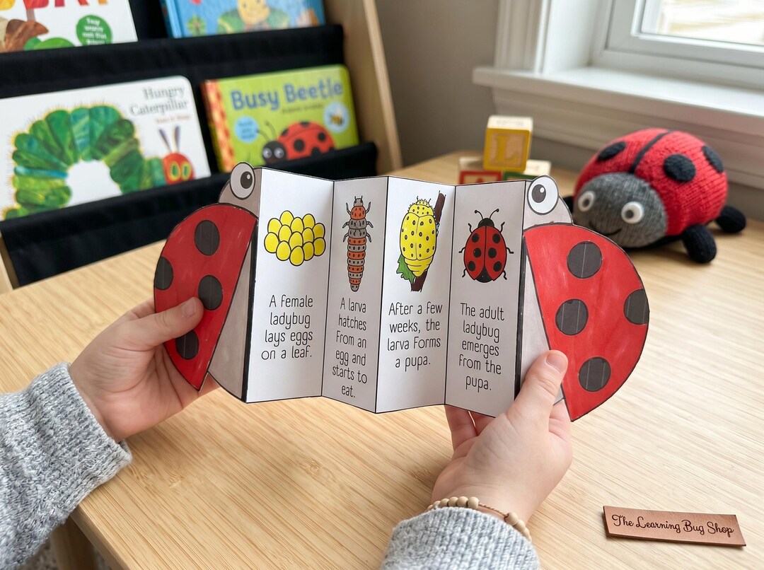 Ladybug Life Cycle Folding Craft, Life Cycle of a Ladybug for Kids ...