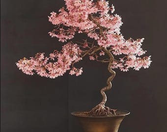 Japanese Cherry Blossom Seeds | Pink Flowering Ornamental Tree for Bonsai, Landscaping