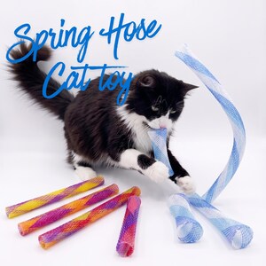 May include: A black and white cat plays with a blue and white spring hose cat toy. Several colorful spring toys in yellow, orange, and pink are scattered around. The text "Spring Hose Cat toy" is written in blue cursive.