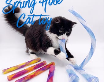 Katze Frühling Schlauch Spielzeug | 10 Stück Set Dehnbare Mesh Tubes | Interaktives Kätzchen Spielen & Spielen