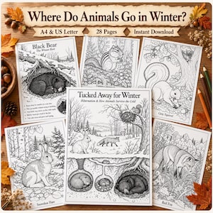 May include: A collection of black and white colouring pages titled Where Do Animals Go in Winter? and Tucked Away for Winter. The pages feature detailed illustrations of a black bear, chipmunk, squirrel, snowshoe hare, and red fox in winter.