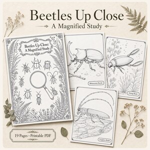 May include: A 19-page printable PDF titled Beetles Up Close: A Magnified Study, featuring black and white line art illustrations of various beetles, including a rhinoceros beetle, diving beetle, and longhorn beetle, with a magnifying glass.