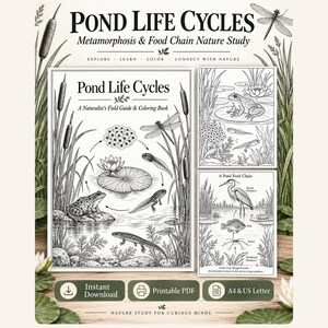 May include: A Pond Life Cycles naturalist field guide and colouring book featuring black and white illustrations of frogs, tadpoles, dragonflies, and water plants. The set includes printable PDF pages in A4 and US Letter sizes for nature study.