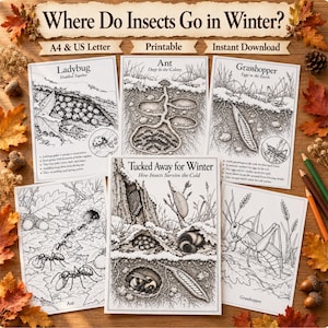 以下が含まれることがあります： Where Do Insects Go in Winter?というタイトルの教育用プリントシート集。テントウムシ、アリ、バッタが冬の生息地で過ごす様子を描いた白黒のインクイラストと、各昆虫の説明文やラベルが記載されています。