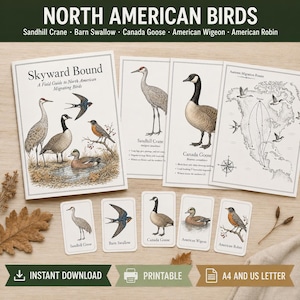 May include: A collection of educational materials titled North American Birds, including a field guide, three informational sheets, and five bird identification cards. The items feature illustrations of a Sandhill Crane, Barn Swallow, Canada Goose, American Wigeon, and American Robin, along with a map of migration routes.