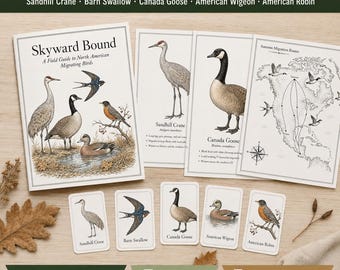 Veldgids en kleurboek over de vogeltrek in Noord-Amerika, printbare natuurstudie voor de herfst, ornithologieset voor thuisonderwijs