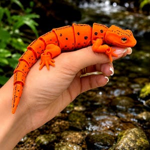 May include: An orange articulated salamander toy with black spots is held in a hand. The salamander is segmented, allowing for flexible movement. The background features a blurred stream and greenery.