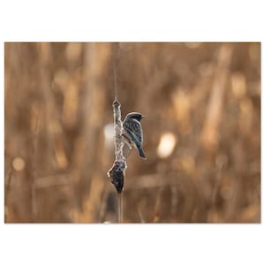 May include: A rustic wooden sign with the text "Welcome to our home" in white lettering. The sign features a distressed finish and a simple, inviting design, perfect for entryway decor.