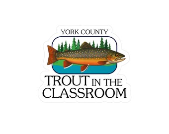 Brook Trout Sticker Trout in the Classroom