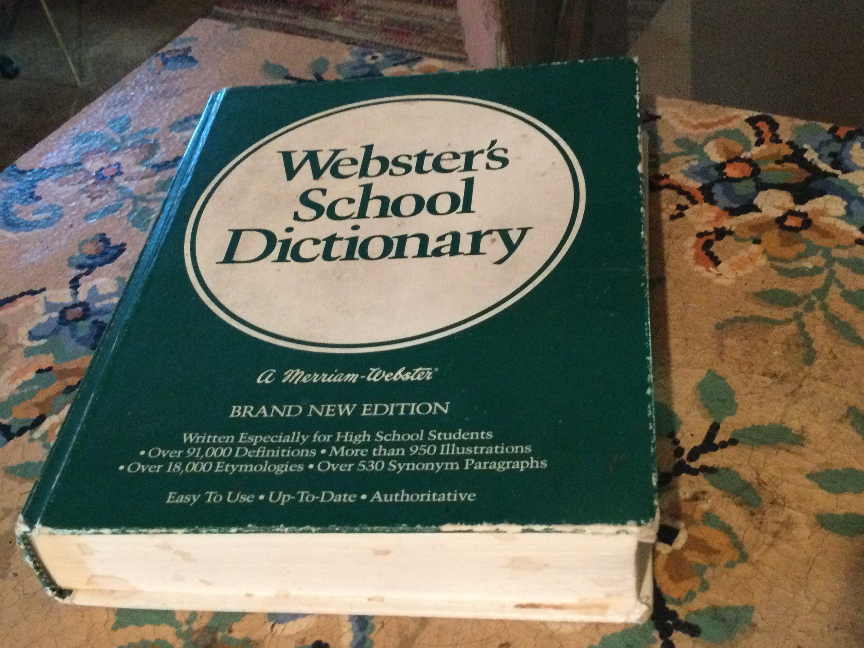 Dictionay Websters High School Hardbound 1980