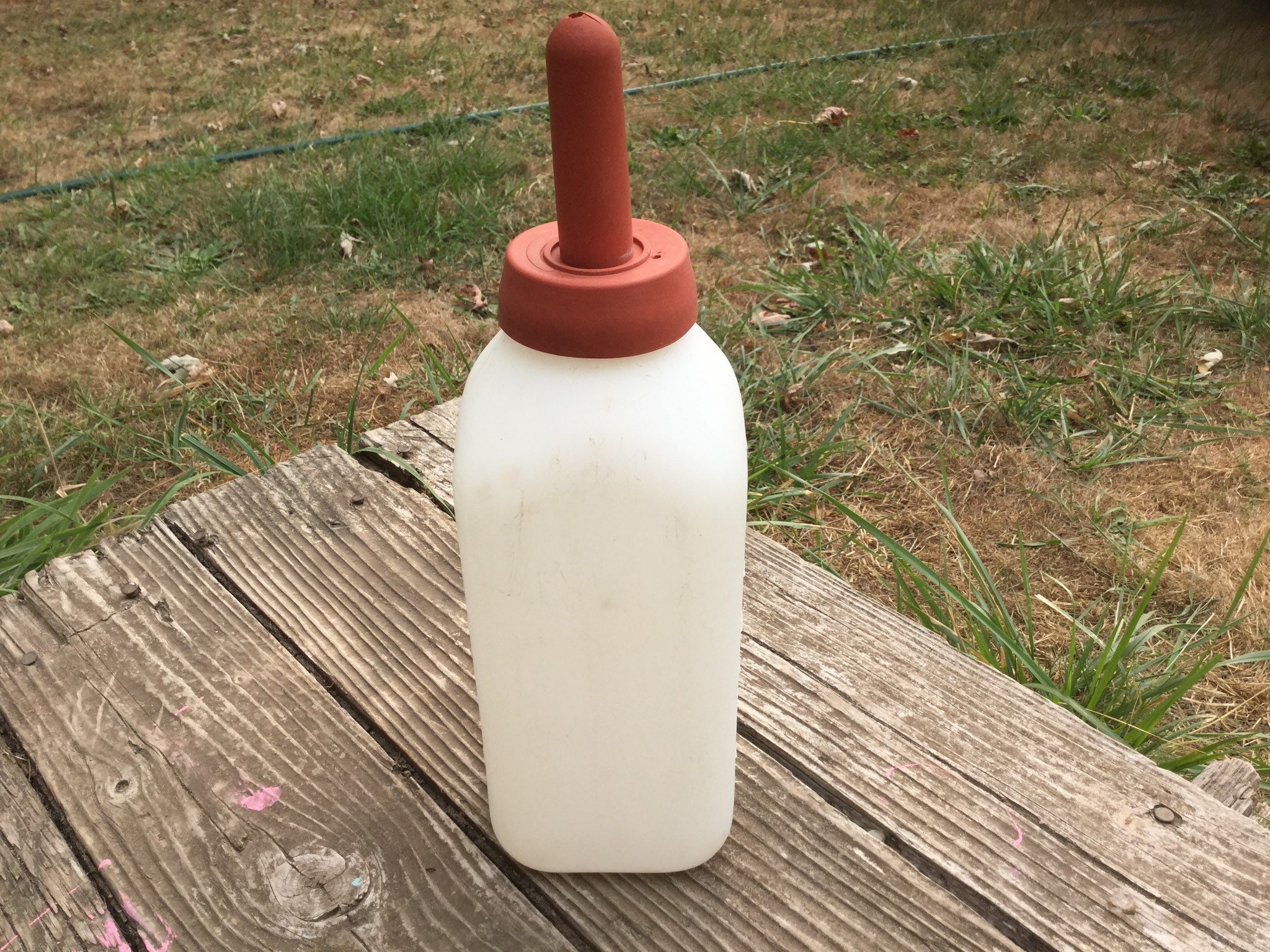 Calf Feeders for sale Only 3 left at 70