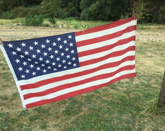 以下が含まれることがあります： 芝生のフィールドで、赤、白、青のアメリカ国旗が洗濯ロープにかけられています