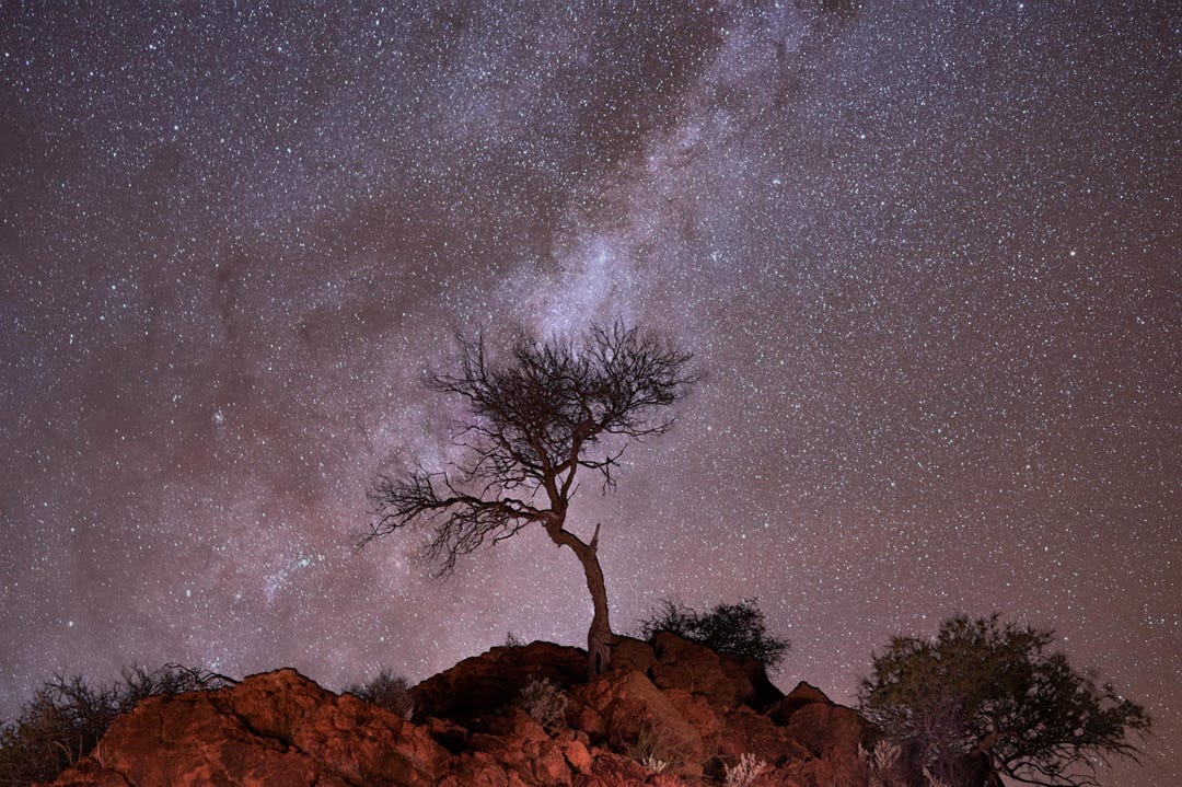 Lone Tree Under the Milky Way – Astrophotography Print, Red Rock ...