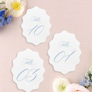 May include: Three white scalloped table number cards with light blue script. The cards are numbered 01, 03, and 10. The cards are surrounded by white, blue, and pink flowers on a light pink background.
