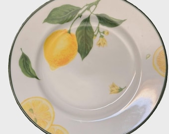 RARE Vtg Williams Sonoma Citrus Grove Salad Plates Set Of 3 – Lemons & Oranges!