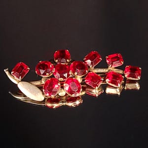 Può includere: Spilla vintage con un design floreale. Presenta pietre preziose rosse sfaccettate e dettagli in metallo dorato. La spilla ha un gruppo di pietre rosse di varie forme, incastonate su uno stelo dorato.