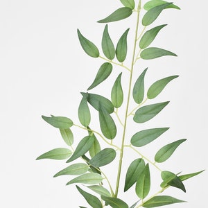 36&quot; Faux Italian Ruscus Stem