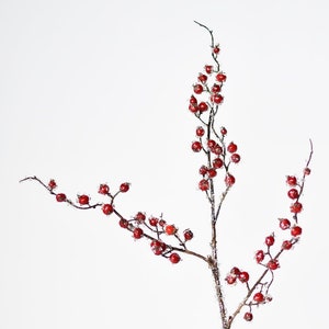 May include: A frosted twig with red berries, a wintery floral arrangement.