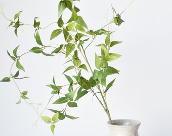 May include: A white ceramic vase with a textured surface holds a sprig of green leafy branches.