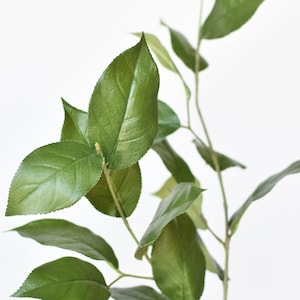 36&quot; Faux Lemon Leaf Branch Stem
