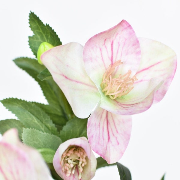 25" Faux Helleborus Stem Pink / Green