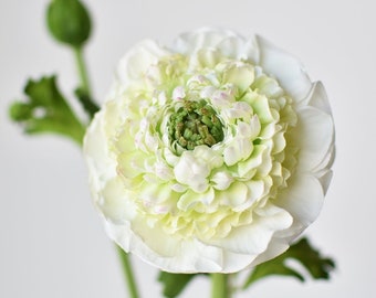 21" Faux Double Ruffled Ranunculus Stem White