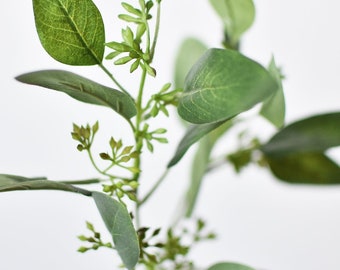 May include: A sprig of eucalyptus with green leaves and small green buds.