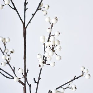May include: A white berry spray with brown branches. The berries are clustered together on the branches.