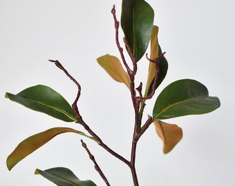 26” Faux Magnolia Leaf Branch